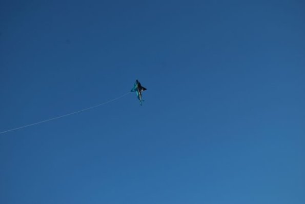 cambria2012_0231