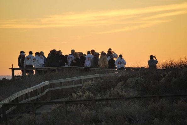 cambria2012_0260