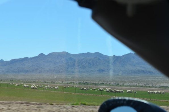 Laughlin_4_0065
