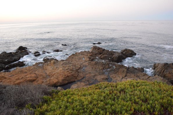 Cambria_0020
