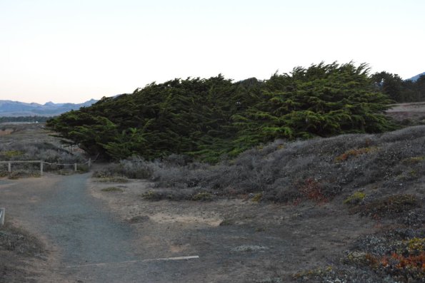 Cambria_0022