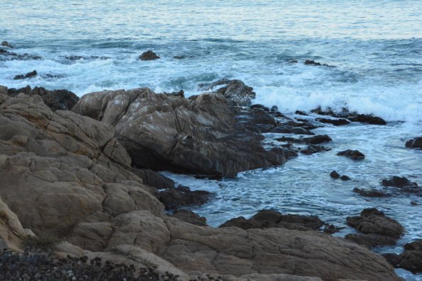 Cambria_0023