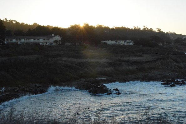 Cambria_0024