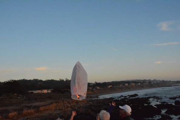 Cambria_0062