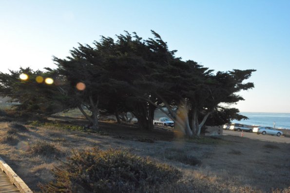 Cambria_0070