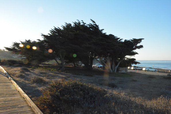 Cambria_0071