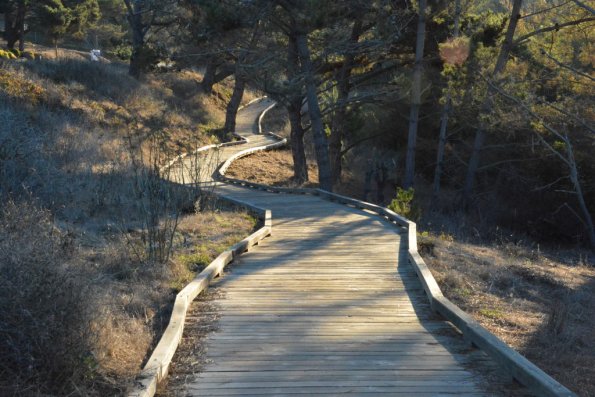 Cambria_0072