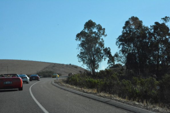 Cambria_0084