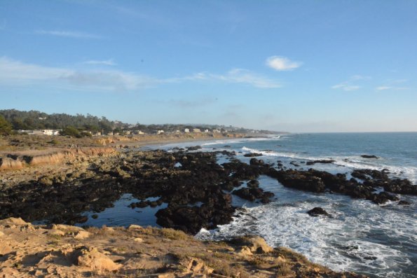 Cambria_0236