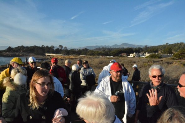 Cambria_0248