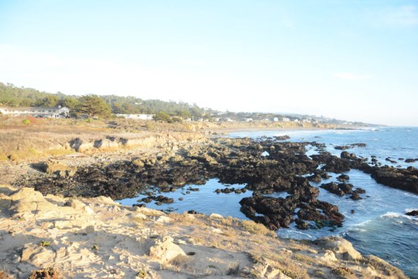Cambria_0261