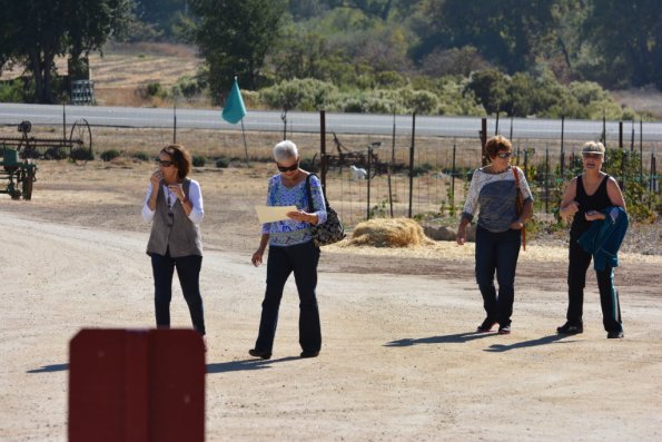 Cambria_0431