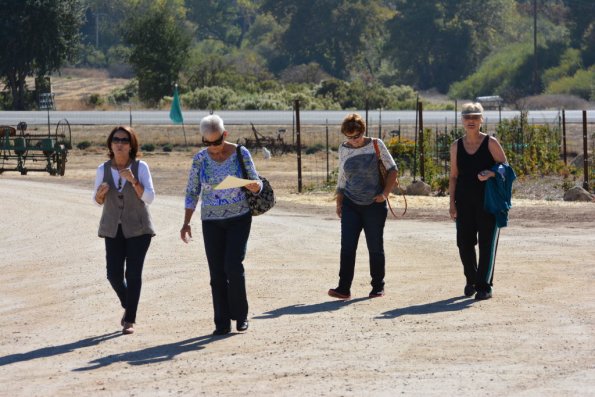 Cambria_0432