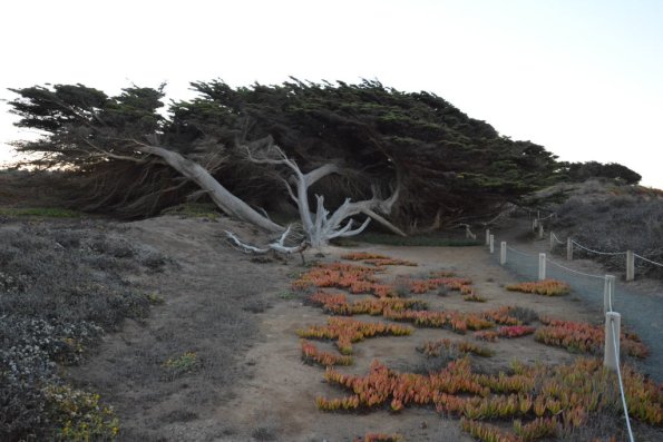 Cambria_0572