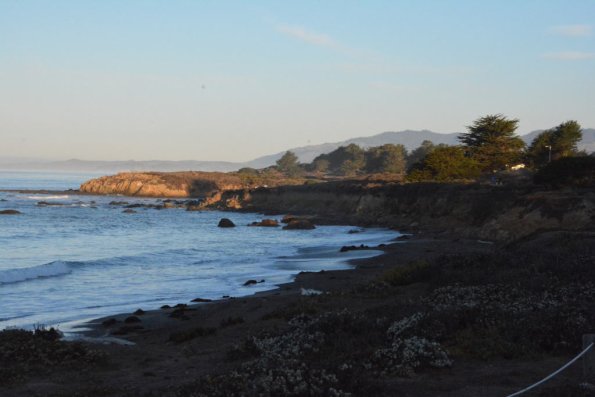 Cambria_0593