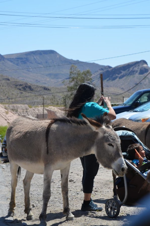 Laughlin_0046