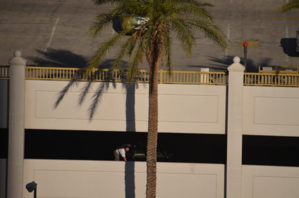 Laughlin_0121
