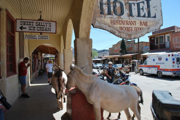 Laughlin_0242