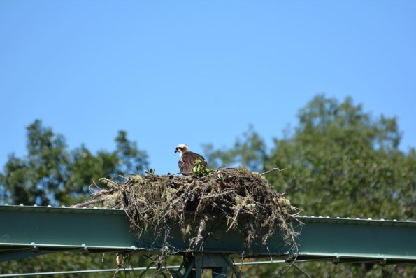 OTRA2013_0935