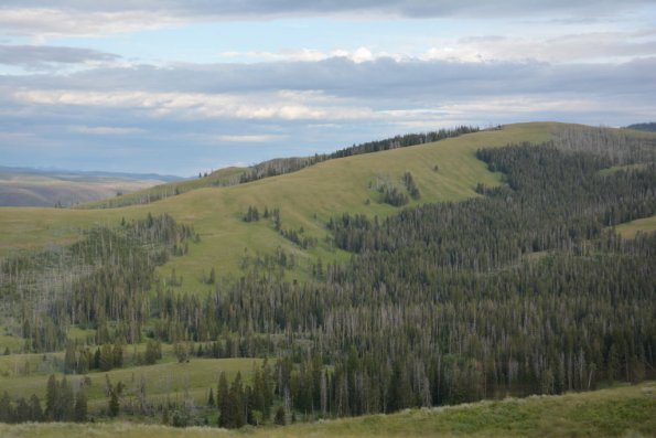 OTRA2013_1393