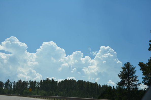 OTRA2013_1693