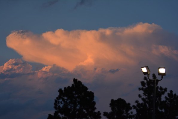 OTRA2013_1841