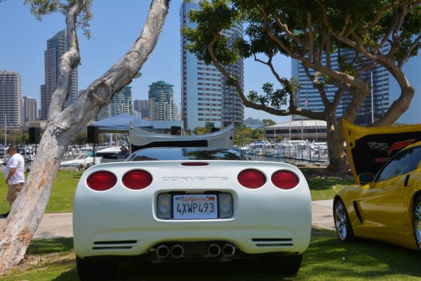 PlasticFantastic_0073