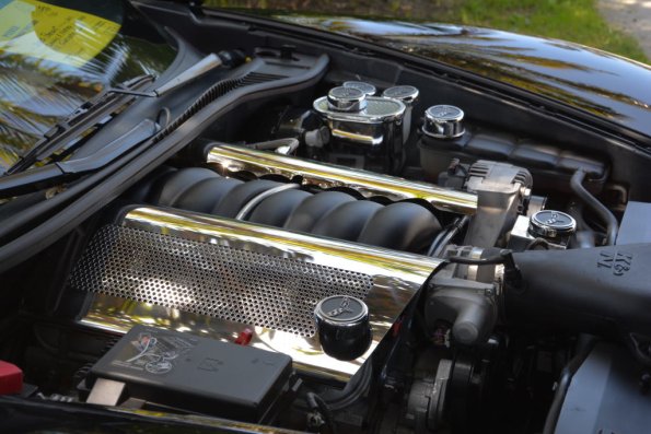 PlasticFantastic_0082