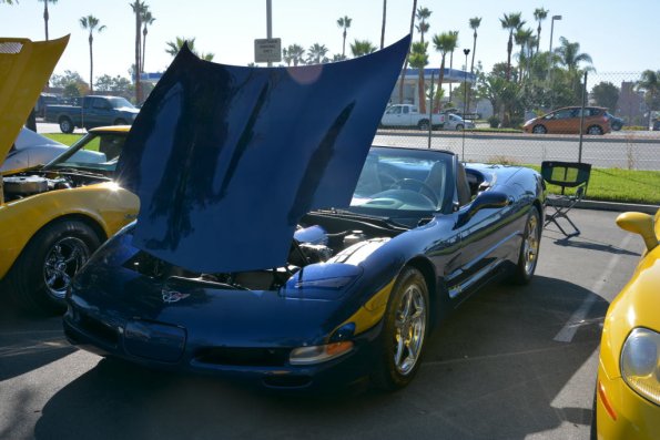 VetsandVettes_0010