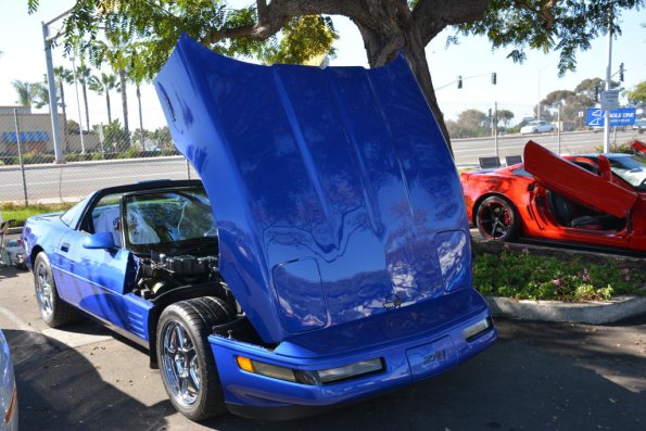 VetsandVettes_0011