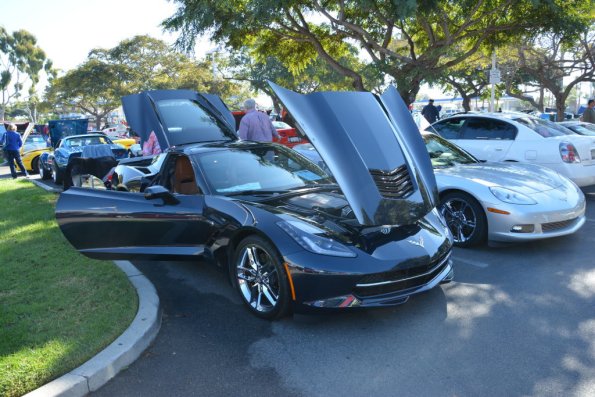 VetsandVettes_0014