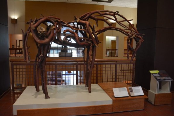 Autry_056