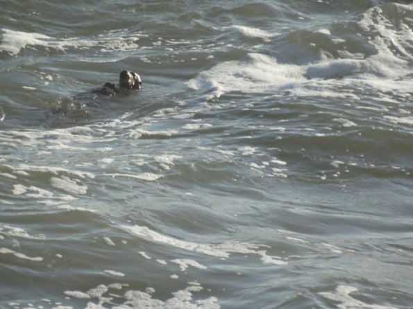 cambria2014_094