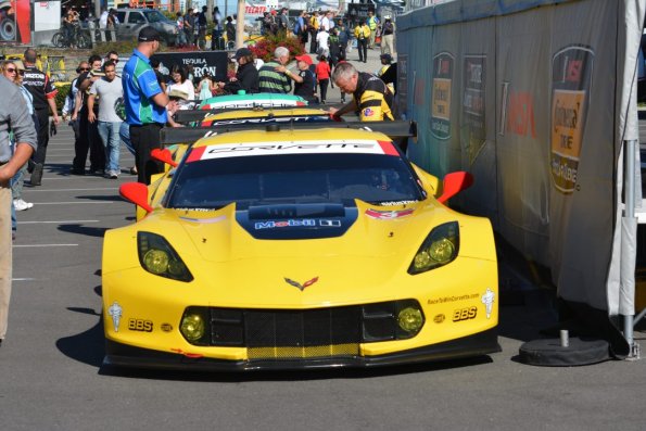 LBGP_0075
