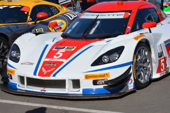 LBGP_0078