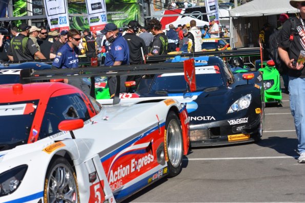 LBGP_0079