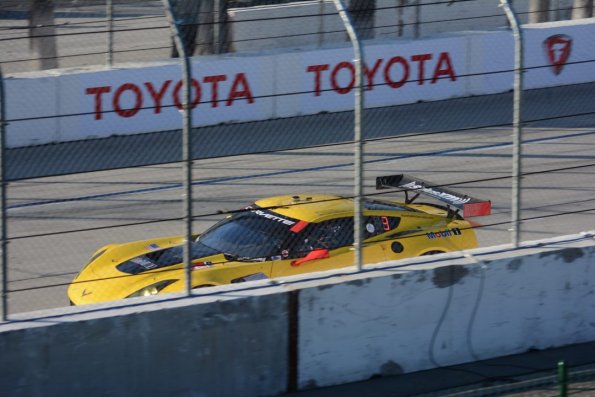 LBGP_0167