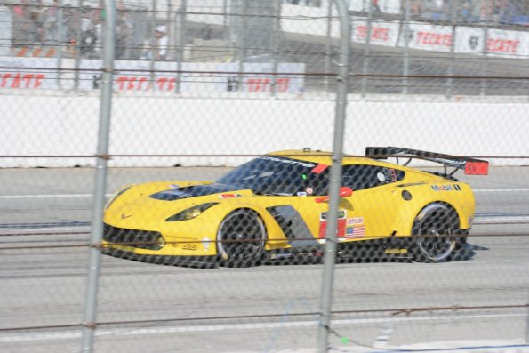 LBGP_0274