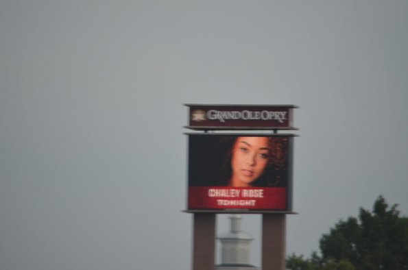 OTRA2014CN_0397