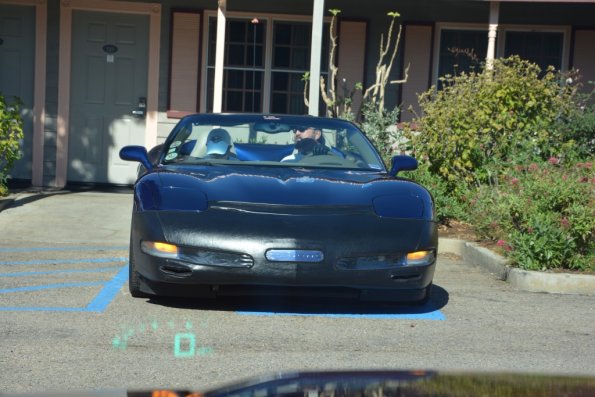 Cambria_2015_0090