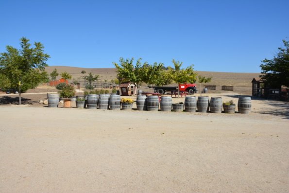 Cambria_2015_0131