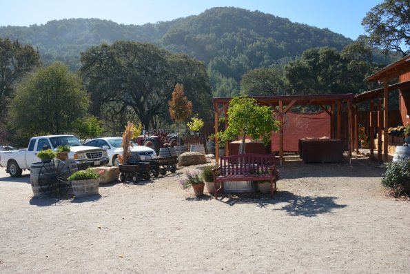 Cambria_2015_0134