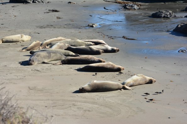 Cambria_2015_0155