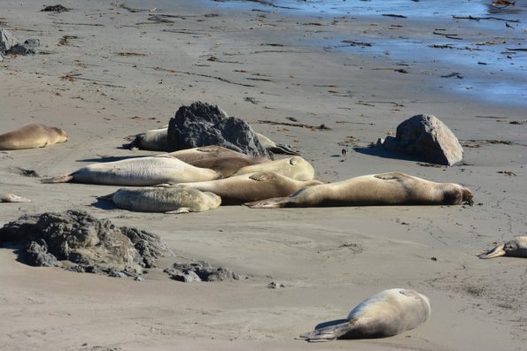 Cambria_2015_0157