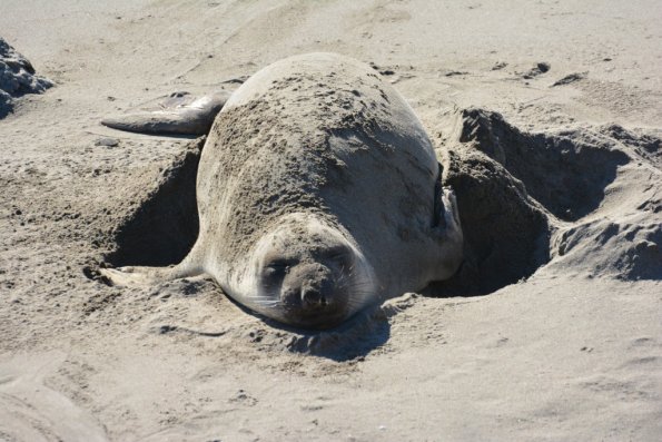 Cambria_2015_0158