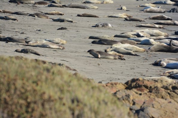 Cambria_2015_0160
