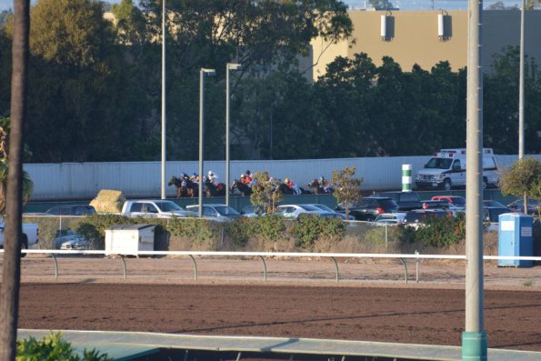 LosAl_Race_0069