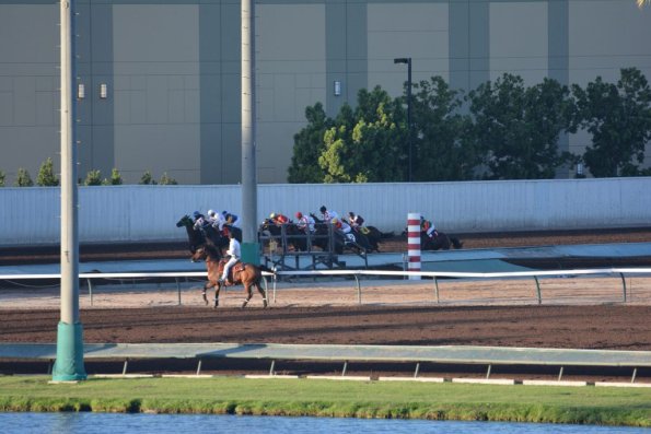 LosAl_Race_0071