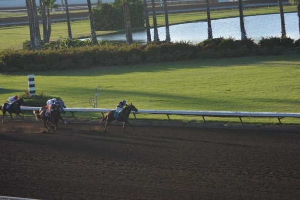 LosAl_Race_0081
