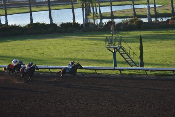 LosAl_Race_0083